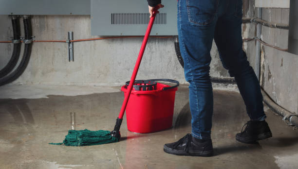 Best Water damage restoration near me  in Halls, TN