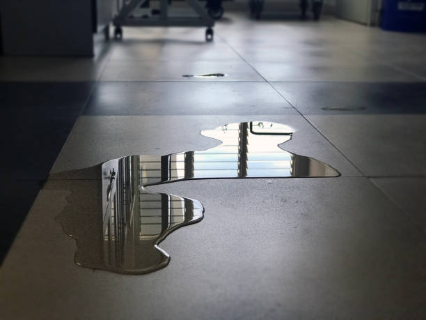 Best Professional water damage repair  in Halls, TN