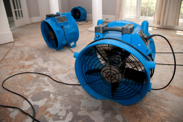  Halls, TN Water damage restoration Pros