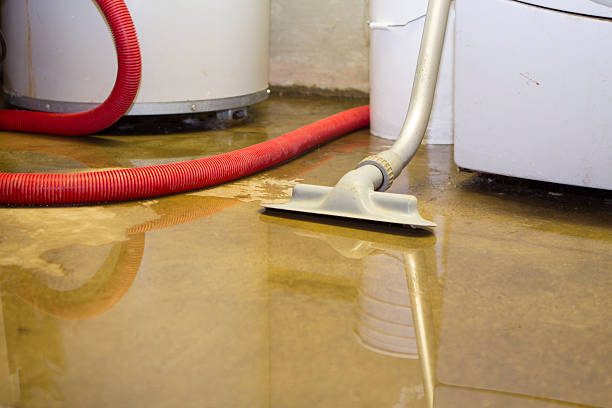 Best Water damage mitigation services  in Halls, TN