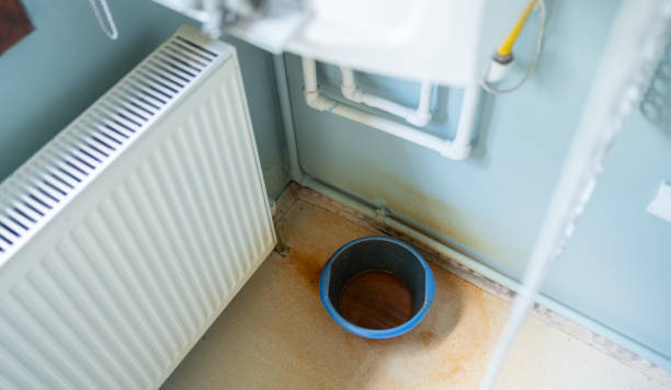 Best Flood damage cleanup  in Halls, TN