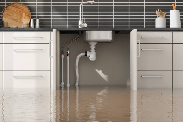 Best 24-hour water damage restoration  in Halls, TN