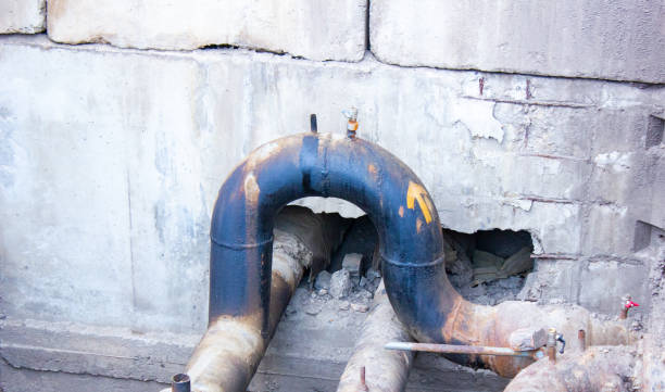 Best Carpet water damage restoration  in Halls, TN