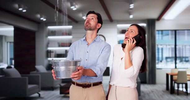 Best Flood restoration services  in Halls, TN