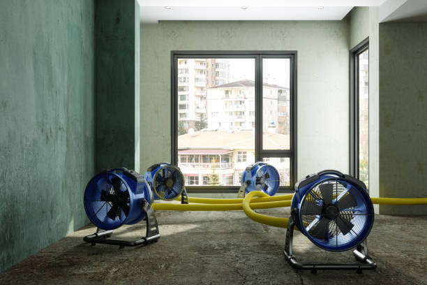 Best Sewage cleanup and water damage restoration  in Halls, TN